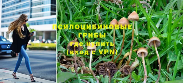 индика Заволжск